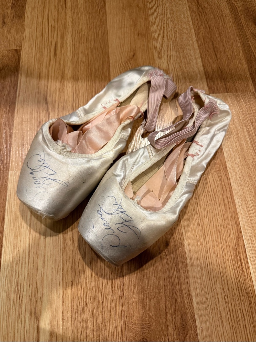 Pair of signed Diana Vishneva pointe shoes